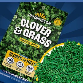 Pennington Clover & Grass Mix on a slope offering erosion control and drought resilience.