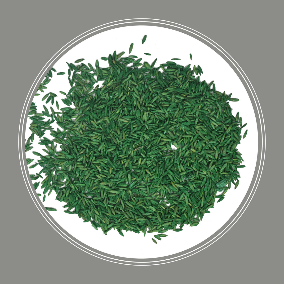 Pennington Contractors Grass Seed Mix repair patch demonstrates seed filling damaged lawn areas.