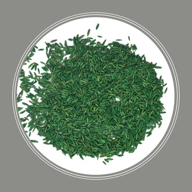 Pennington Contractors Grass Seed Mix repair patch demonstrates seed filling damaged lawn areas.
