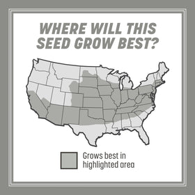 Pennington Contractors Grass Seed Mix New lawn establishment visuals highlight fast germination.