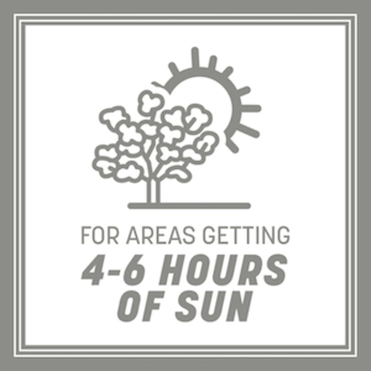 Pennington Contractors Grass Seed Mix shows sun exposure guidance for 4-6 hours daily.