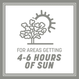 Pennington Contractors Grass Seed Mix shows sun exposure guidance for 4-6 hours daily.