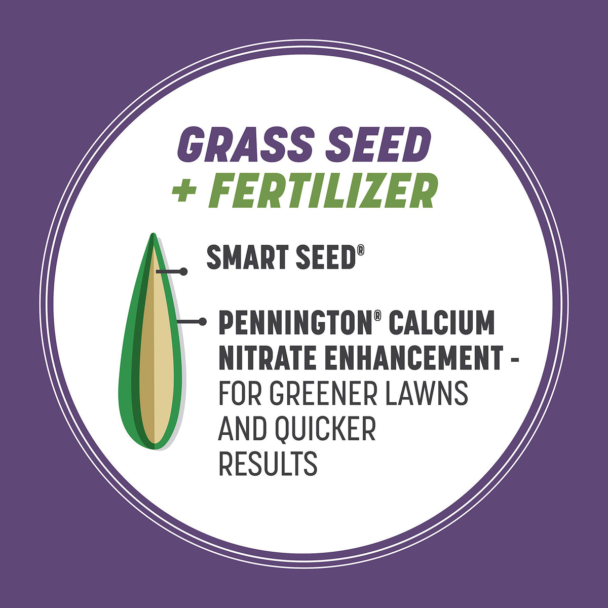 Pennington Dense Shade seed is spread to overseed a shaded lawn.