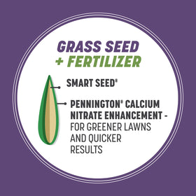 Pennington Dense Shade seed is spread to overseed a shaded lawn.