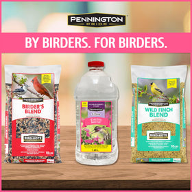 Backyard birding with Pennington Electro-Nectar enhances hummingbird visits in the garden.