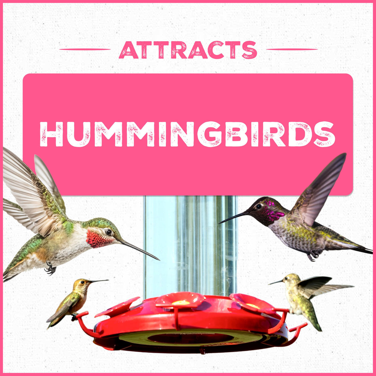 Pennington Electro-Nectar works with all nectar feeders for versatile outdoor setups.