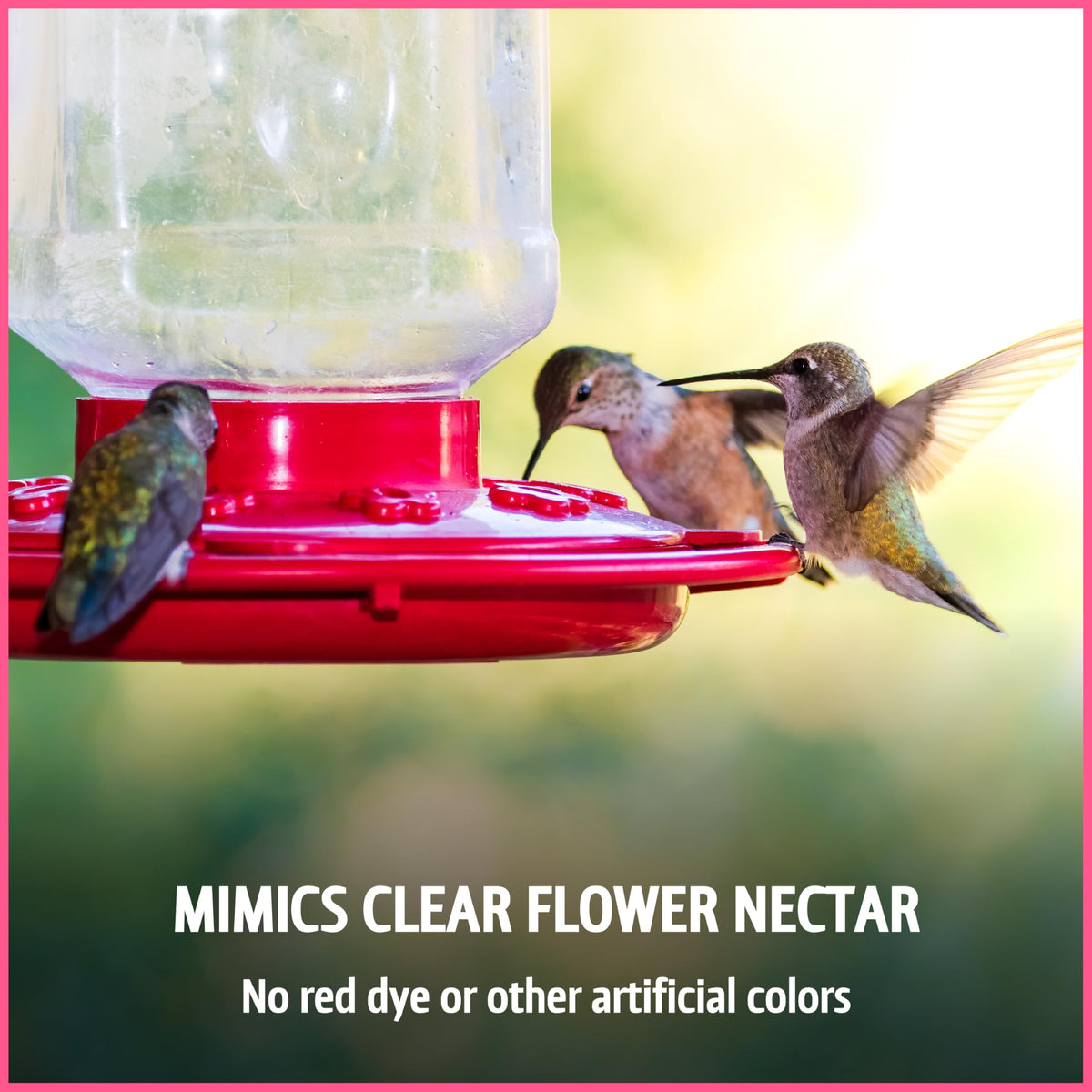Pennington Electro-Nectar endorsed by Cornell Lab of Ornithology for trusted backyard feeding.