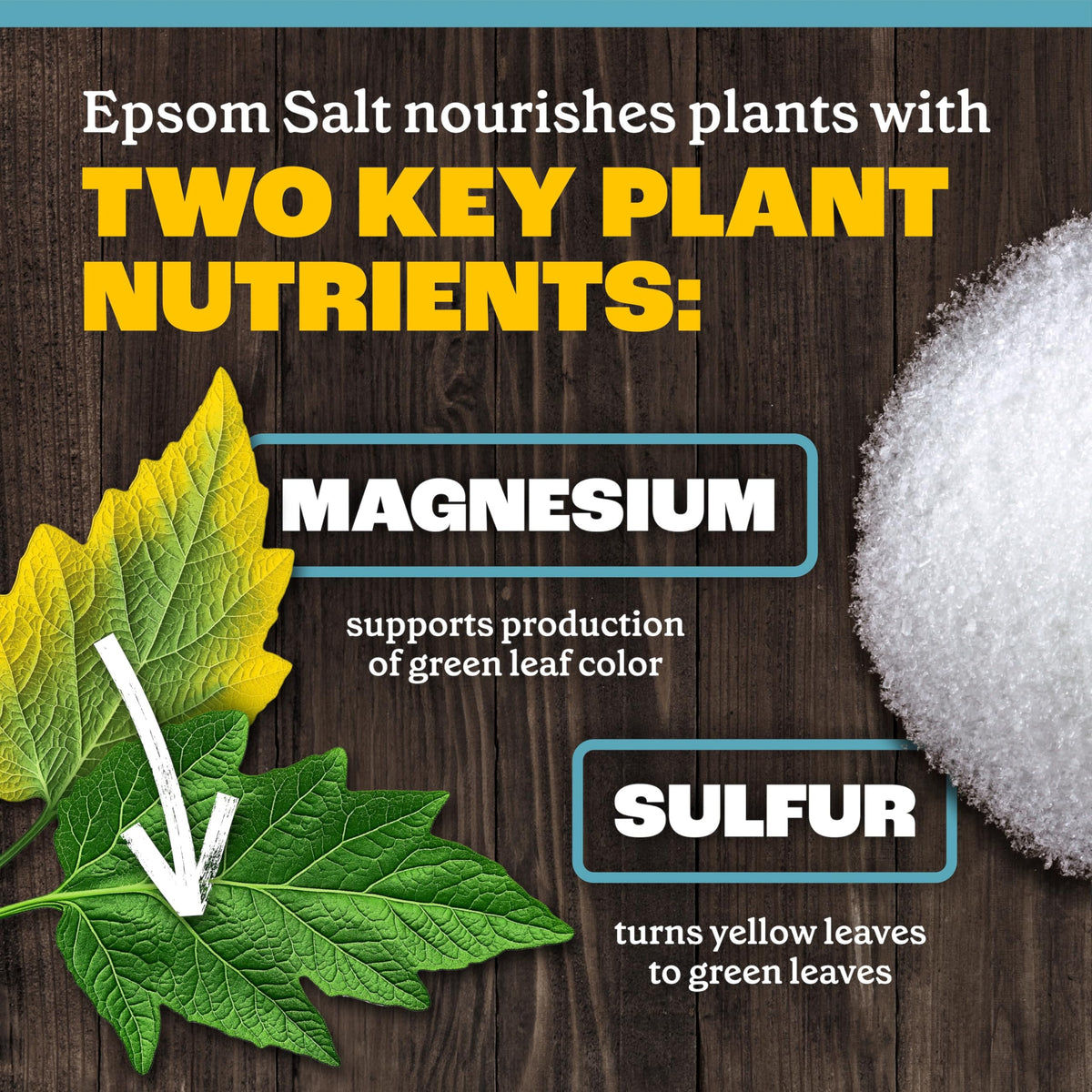 Pennington Epsom Salt complements home garden setups.