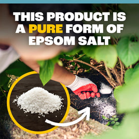 Pennington Epsom Salt contains magnesium and sulfur.