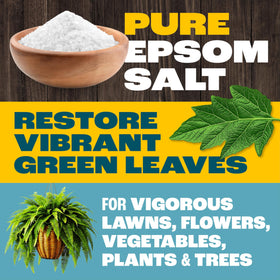 Pennington Epsom Salt nutrition facts side show minerals.