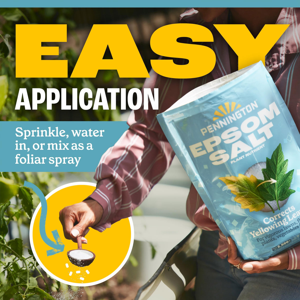 Pennington Epsom Salt helps correct yellowing leaves.