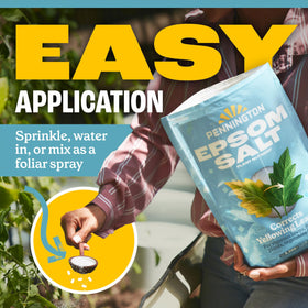 Pennington Epsom Salt helps correct yellowing leaves.