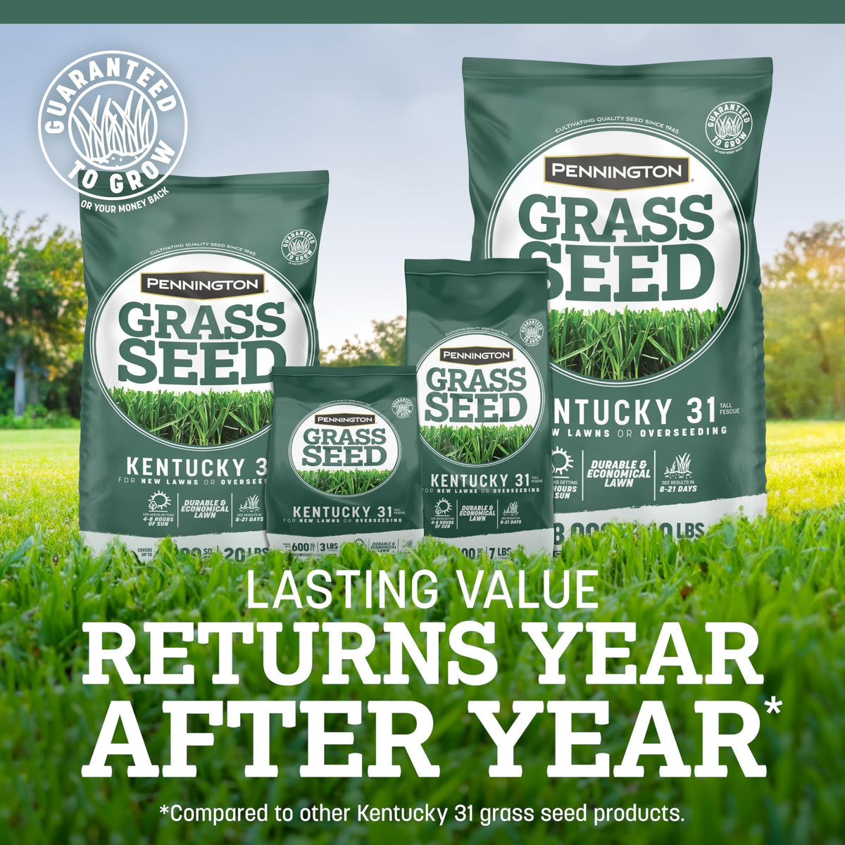 Pennington tall fescue withstood foot traffic for durable lawns.