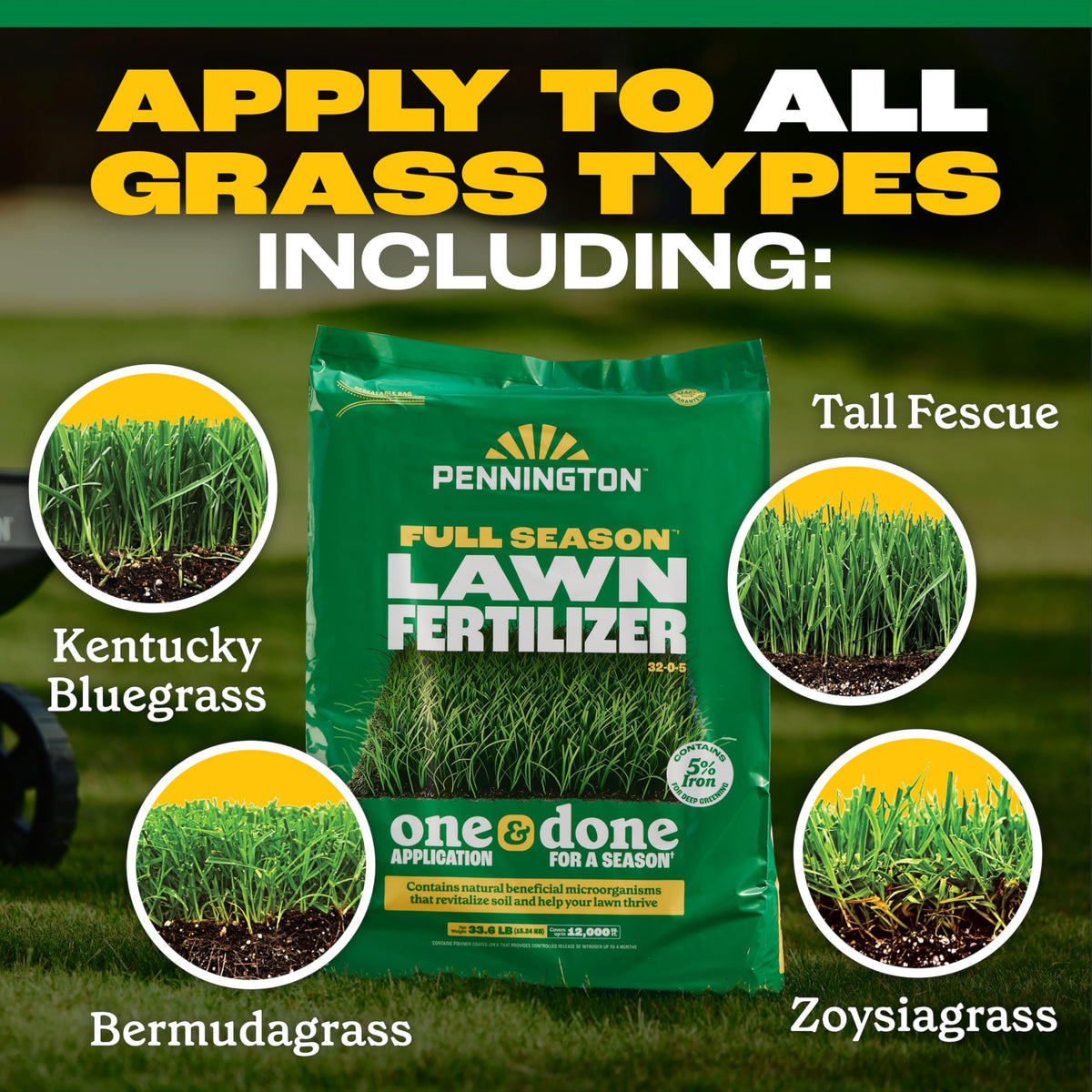 Pennington Full Season Lawn Fertilizer green lawn after application showing deeper color