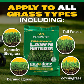 Pennington Full Season Lawn Fertilizer green lawn after application showing deeper color