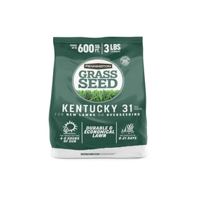 Pennington Kentucky 31 tall fescue seed bag ready for seeding, affordable lawn upgrade.