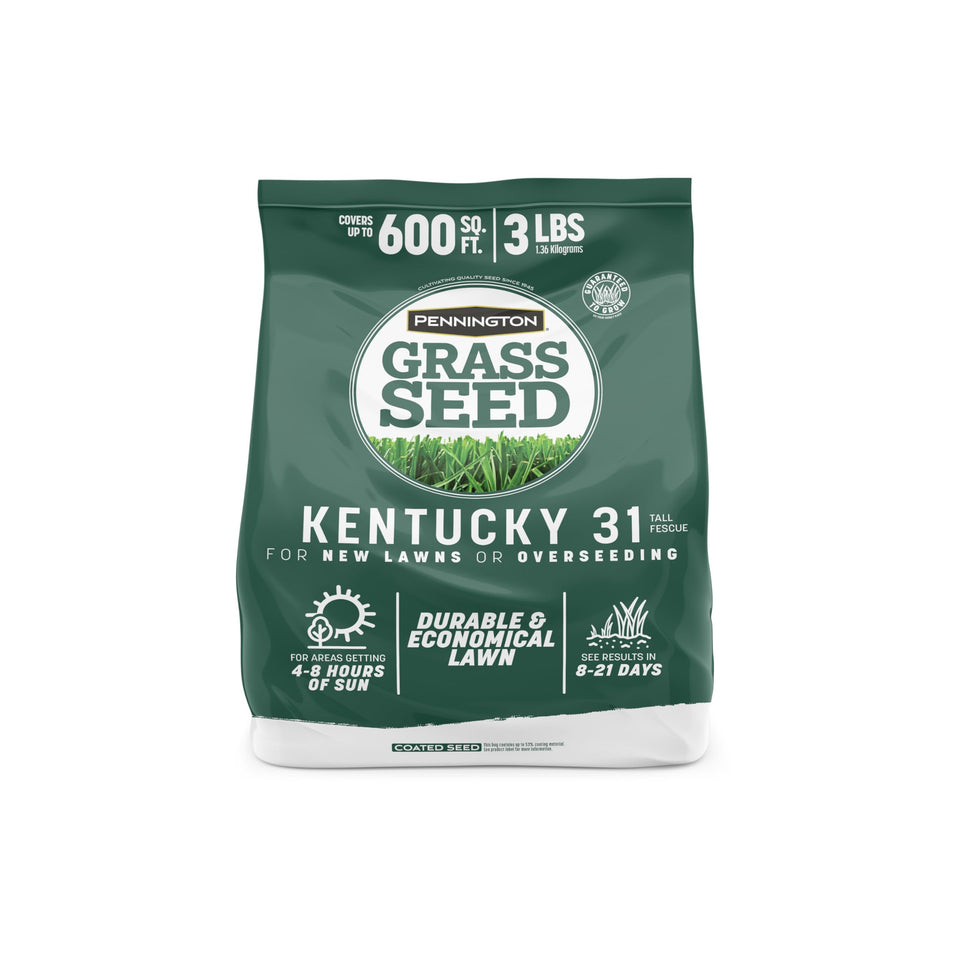 Pennington Kentucky 31 tall fescue seed bag ready for seeding, affordable lawn upgrade.