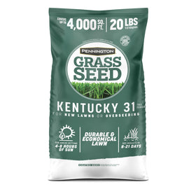 Pennington Kentucky 31 Tall Fescue seed bag ready for planting to establish a durable lawn.