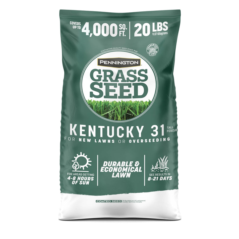 Pennington Kentucky 31 Tall Fescue seed bag ready for planting to establish a durable lawn.