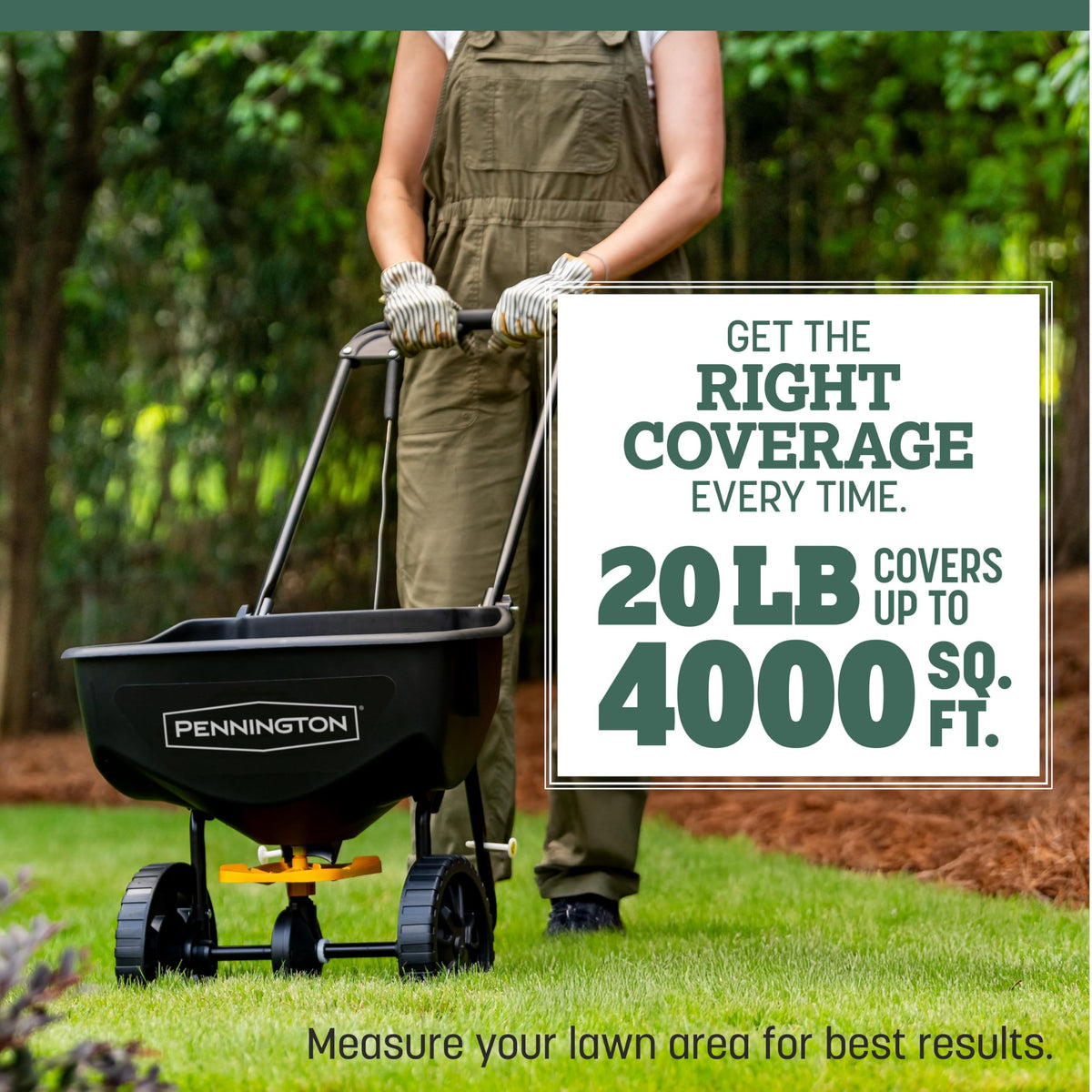 Pennington Kentucky 31 Tall Fescue seed standing up to foot traffic for durable use.