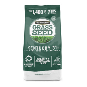 Pennington Kentucky 31 Tall Fescue seed bag shown for durable sun-loving lawn start