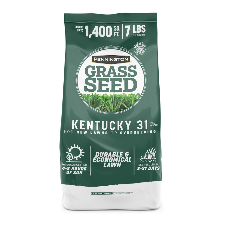 Pennington Kentucky 31 Tall Fescue seed bag shown for durable sun-loving lawn start