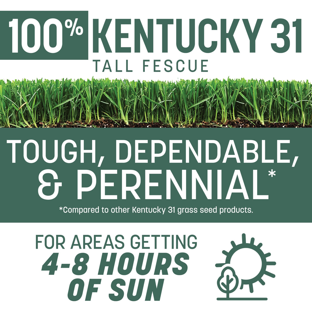 Pennington Kentucky 31 Tall Fescue seed bag label highlights 7 lb weight