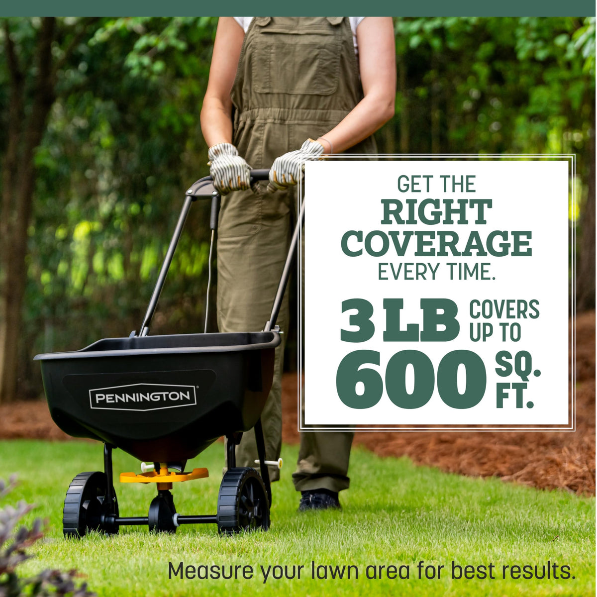 Pennington Kentucky 31 tall fescue seed ideal for starting new lawns.