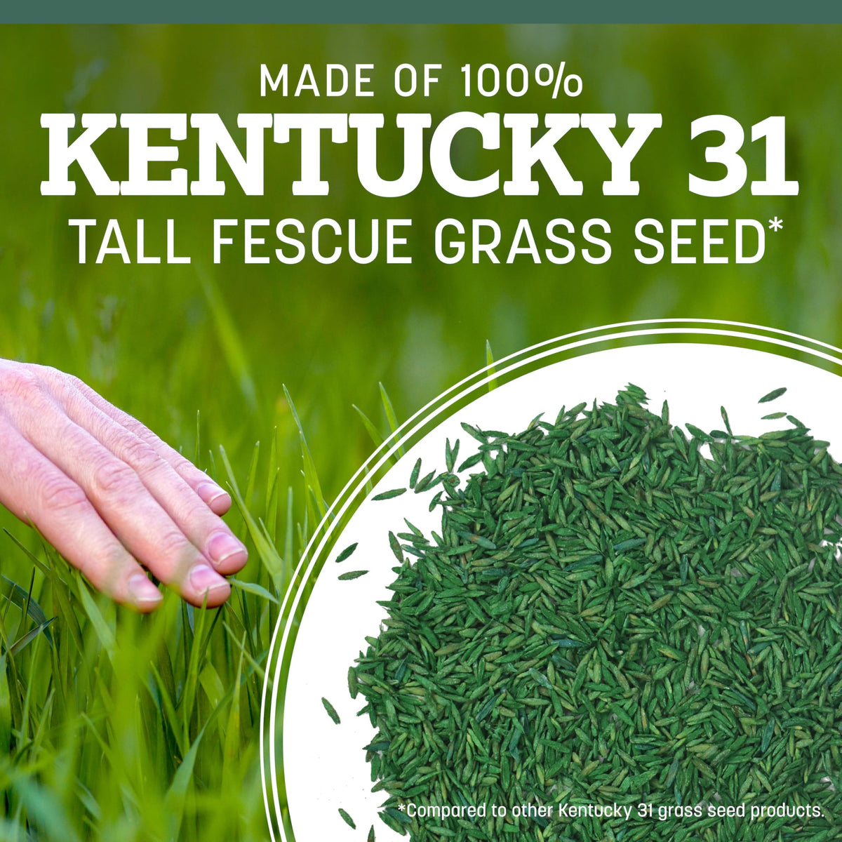 Pennington seed used for overseeding to revive thin lawn patches.