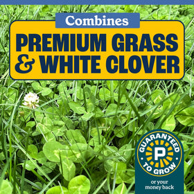 Pennington pollinator-friendly lawn with blooming clover inviting bees.