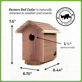 Pennington Pride Cedar Birdhouse entrance hole 1¼ inch for small cavity nesters.