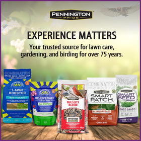 Pennington Pride Songbird 10-lb bag offers long-lasting backyard feed
