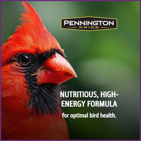 Pennington Pride Songbird Bird-Kote graphic highlights vitamin enrichment