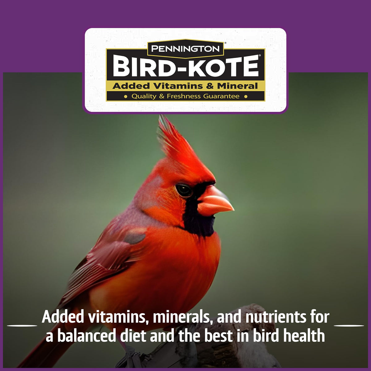 Pennington Pride Songbird blend includes black oil sunflower and safflower for variety