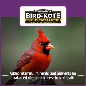 Pennington Pride Songbird blend includes black oil sunflower and safflower for variety