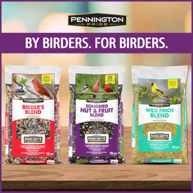 Pennington Pride Songbird nutrition supports energy-rich meals for visiting songbirds