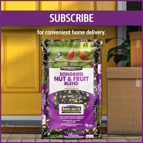 Pennington Pride Songbird birds in your garden enjoy real fruit and nuts