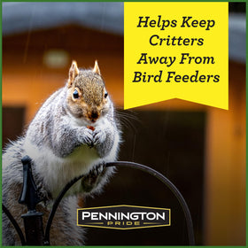 Close‑up of Pennington Pride Squirrel & Critter ingredients showing corn, seeds, peanuts.