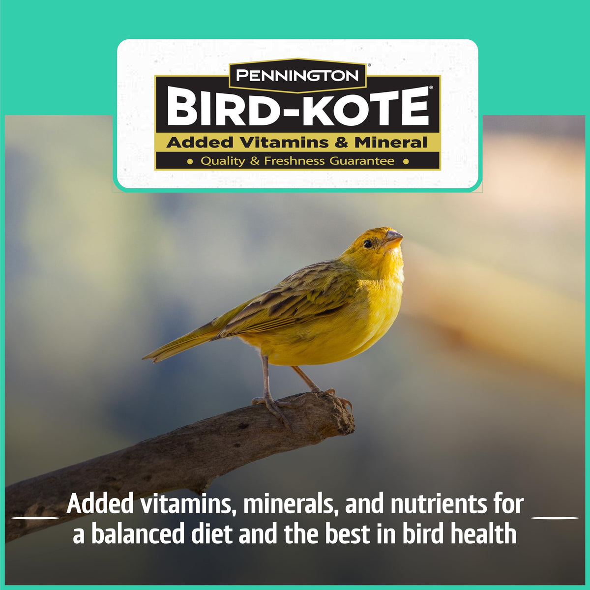 Healthy-feeding Pennington Pride Wild Finch Blend with vitamin-enriched balance.