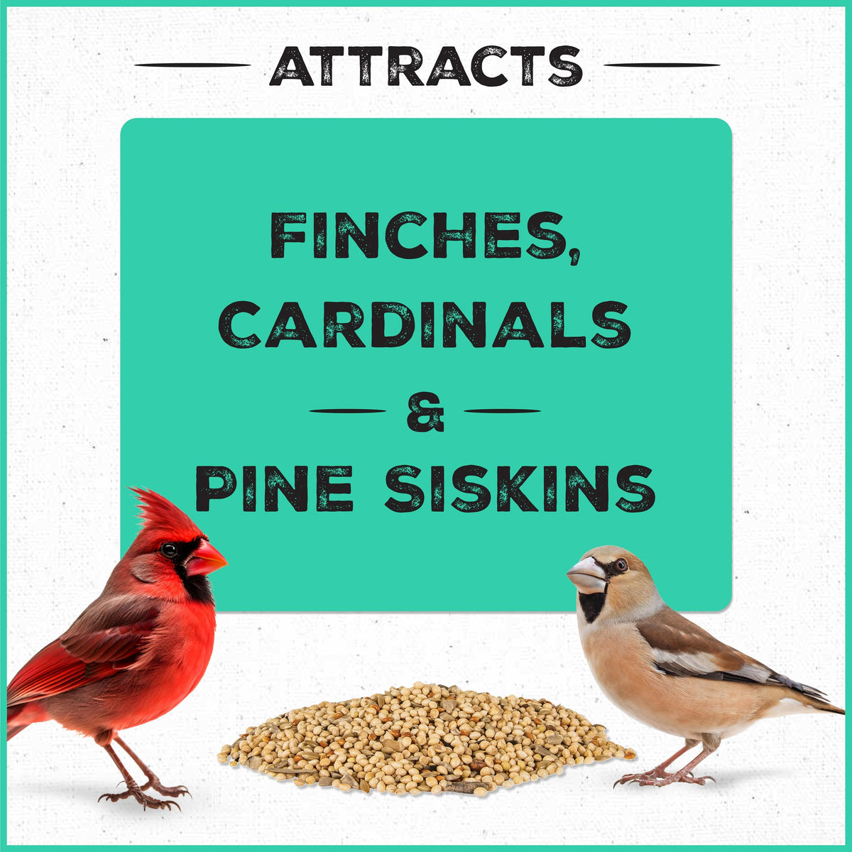 Birds on a feeder enjoying Pennington Pride Wild Finch Blend.