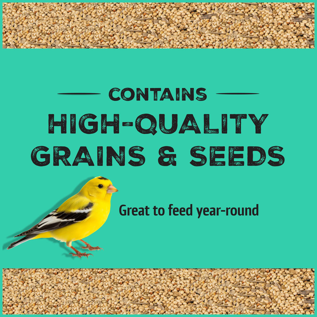 Close-up of Pennington Pride Wild Finch Blend ingredients: thistle and sunflower seeds.