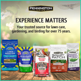 Pennington Pride Wild Finch Blend compatible with common feeders in a yard.