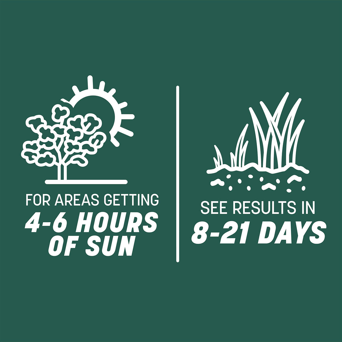 Pennington Smart Seed fertilizer-coated seed promoting early root growth