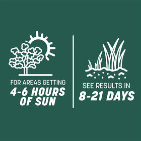 Pennington Smart Seed fertilizer-coated seed promoting early root growth