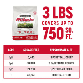 Pennington Rebels coverage 750 sq ft—perfect for overseeding existing lawns.