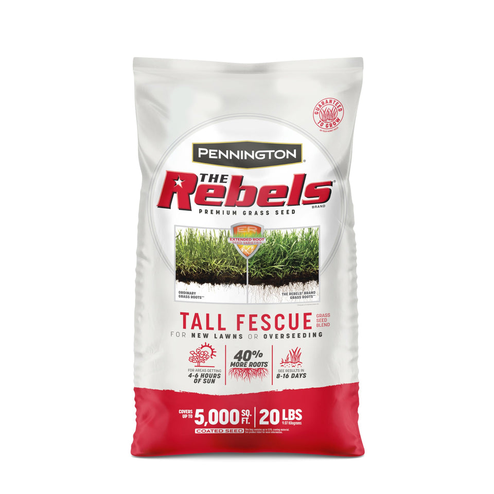 Pennington Rebels tall fescue seed bag for durable lawn growth