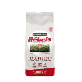 Pennington The Rebels tall fescue seed bag showing dense, drought-tolerant turf