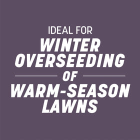 Pennington ryegrass covers up to 2,000 sq ft for thin lawns.
