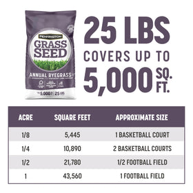 Pennington ryegrass overseed on a sunlit lawn with warm-season compatibility