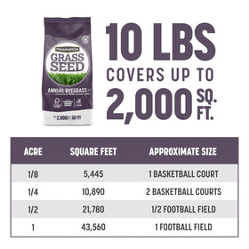 Pennington ryegrass seed under 6-8 hours sun delivers vibrant temporary color.